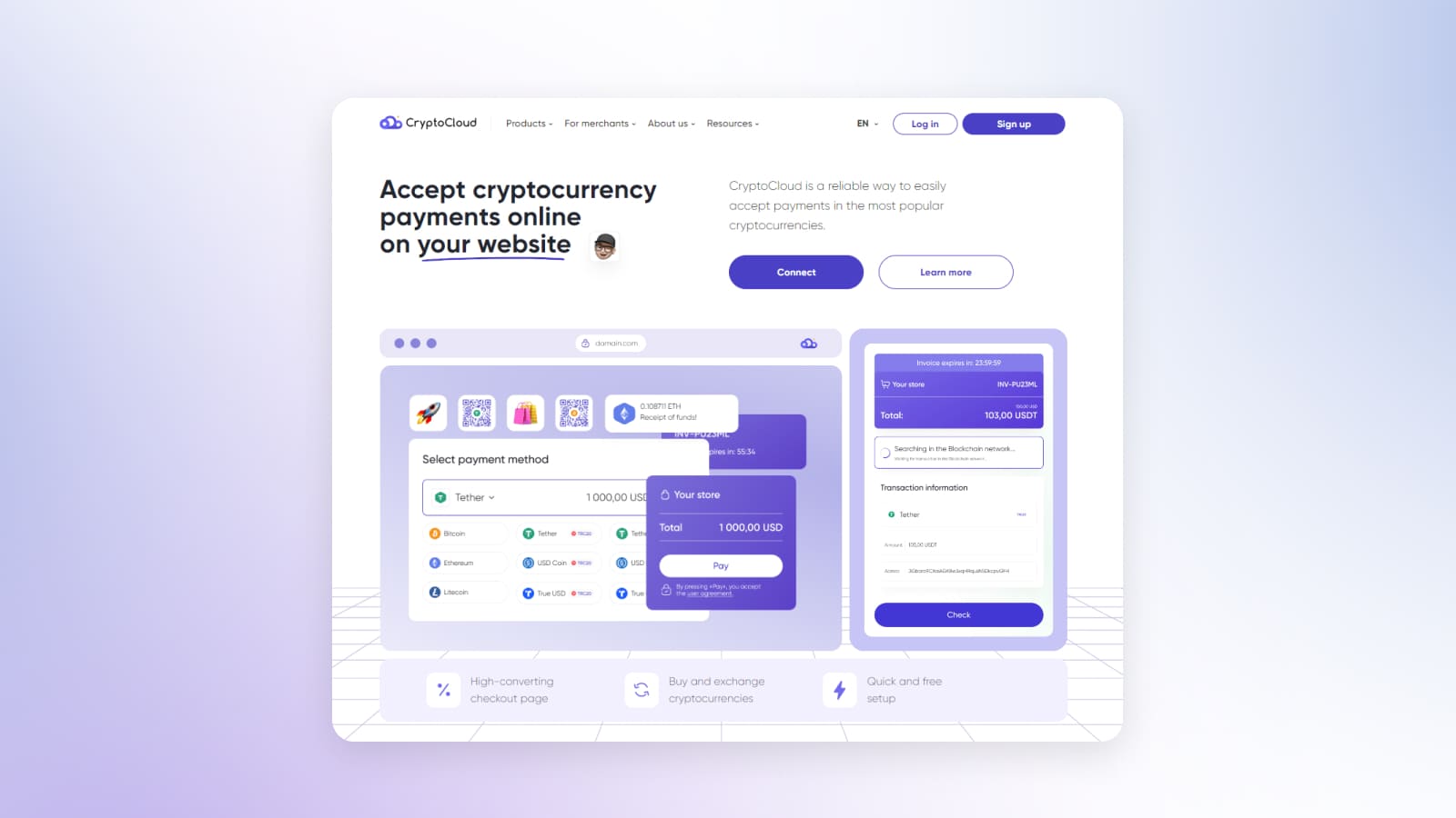 CryptoCloud offers cryptocurrency flexibility and seamless website integration.
