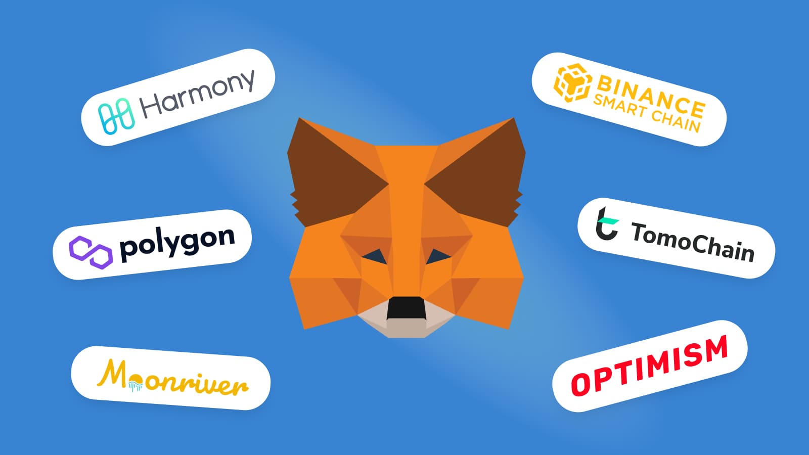 MetaMask provides access to Ethereum and ERC-20 cryptos on diverse networks.
