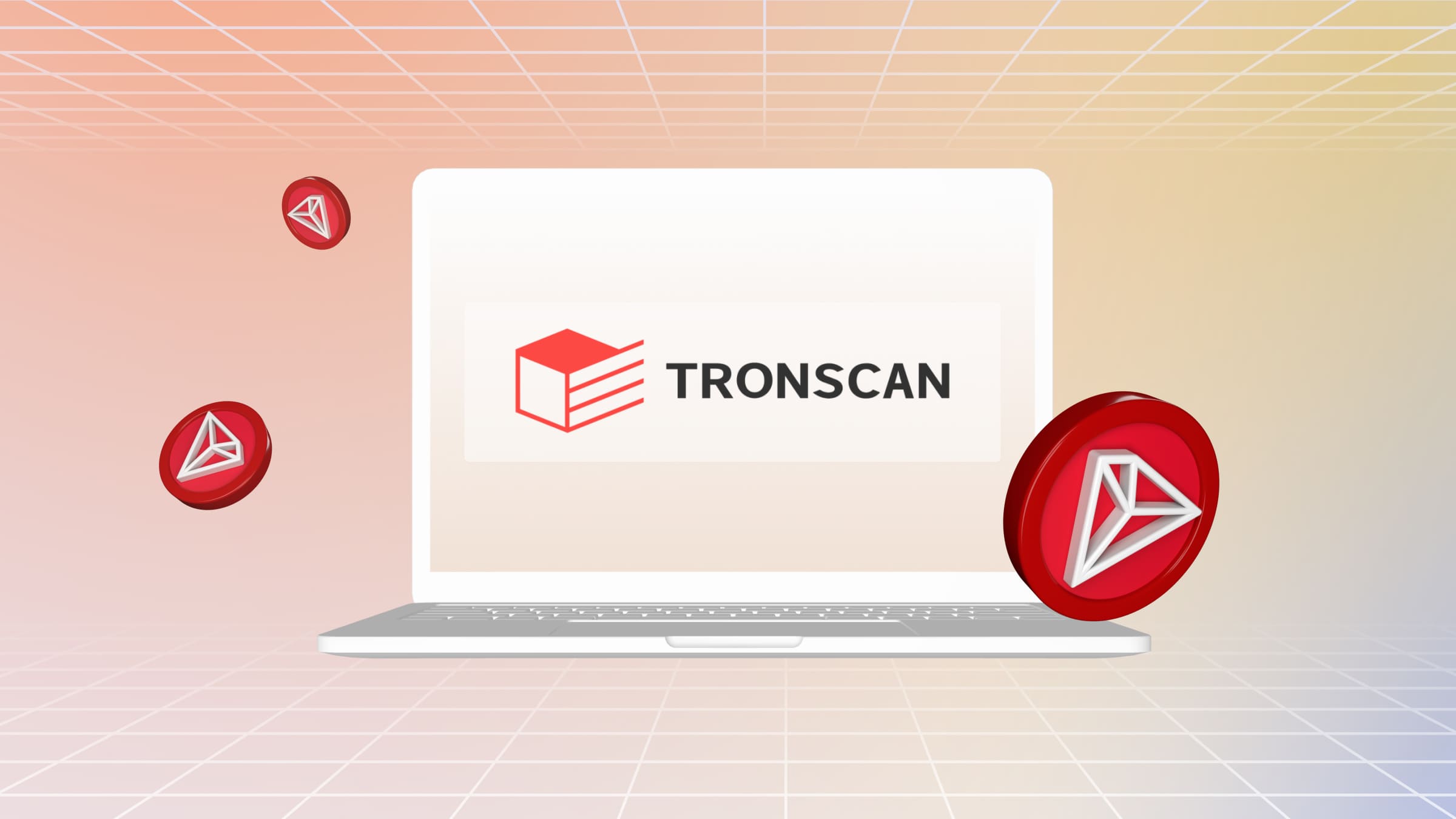 To check the status of a transaction through Tronscan, you need to enter the hash.